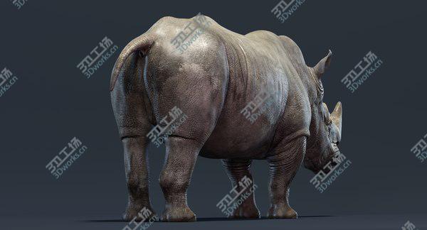 images/goods_img/20210312/Rhino Family (Rigged) model/3.jpg